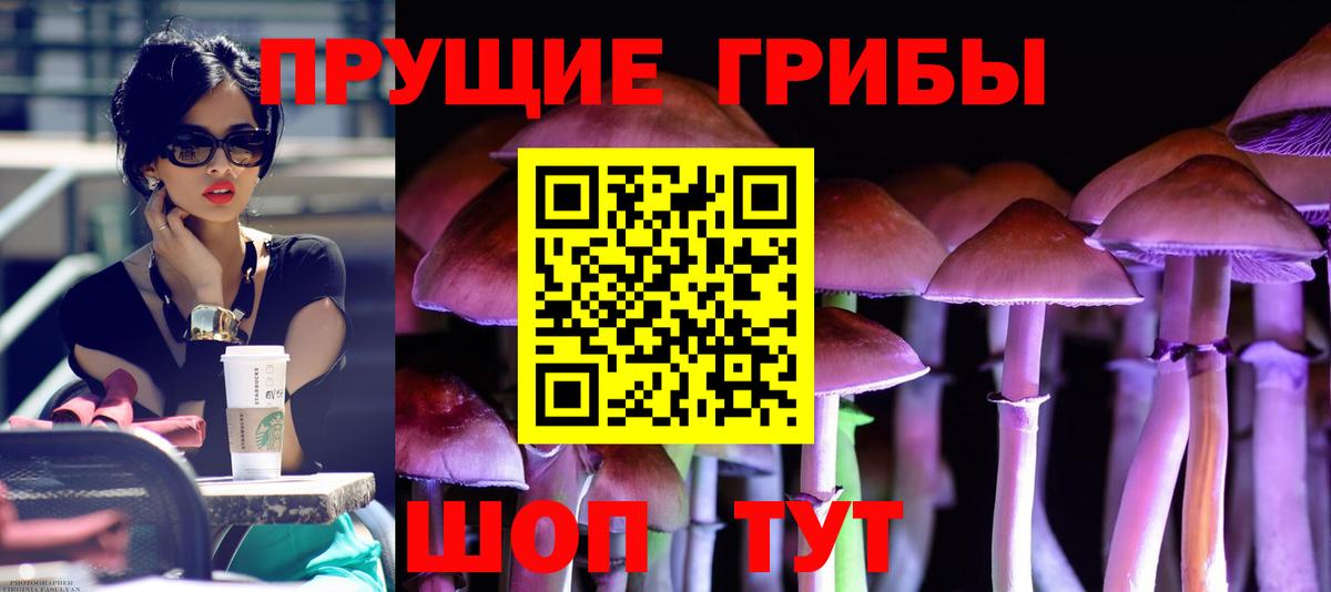 Чебаркуль  Псилоцибиновые грибы Psilocybe  Галлюциногенные грибы Magic Shrooms  Вход с VPN 