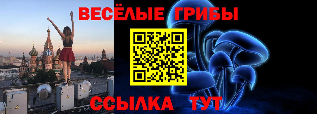 Галлюциногенные грибы мухоморы Чебаркуль